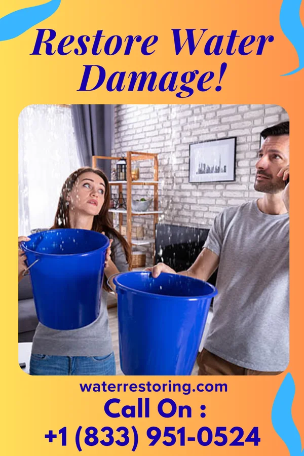 water restoration Sterling Water Damage Authority City View